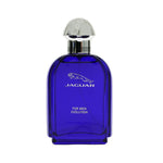 Jaguar Evolution Eau de Toilette 100ml Spray